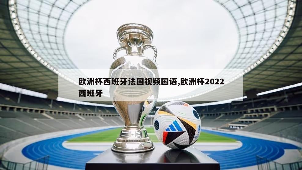 欧洲杯西班牙法国视频国语,欧洲杯2022西班牙