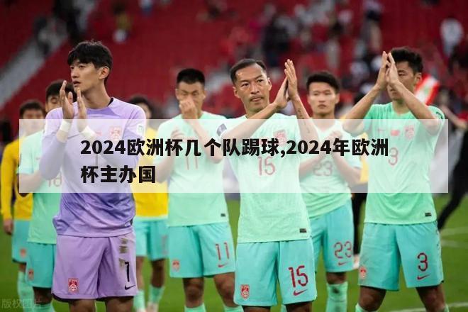 2024欧洲杯几个队踢球,2024年欧洲杯主办国