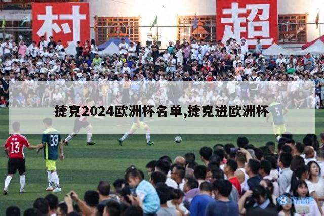 捷克2024欧洲杯名单,捷克进欧洲杯